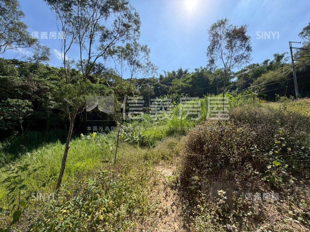 中寮臨中集路千坪農地房屋室內格局與周邊環境