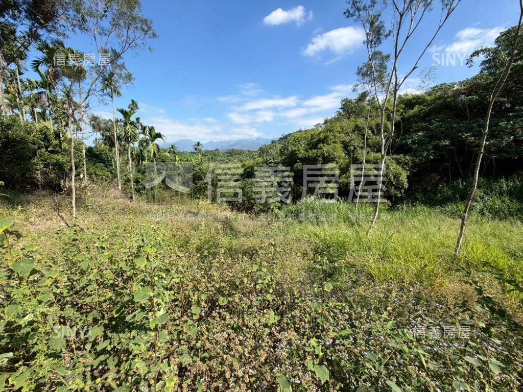 中寮臨中集路千坪農地房屋室內格局與周邊環境