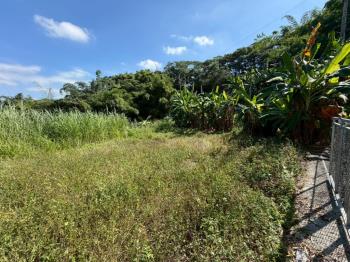 中寮臨中集路千坪農地