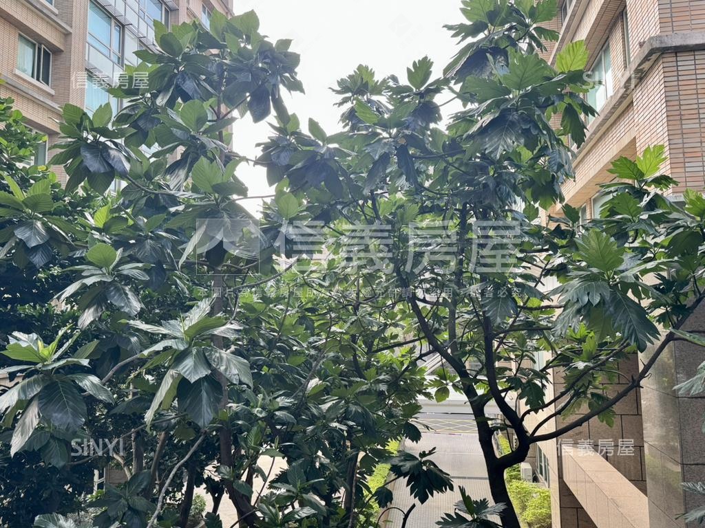 綠景靜巷挑高邊間房屋室內格局與周邊環境