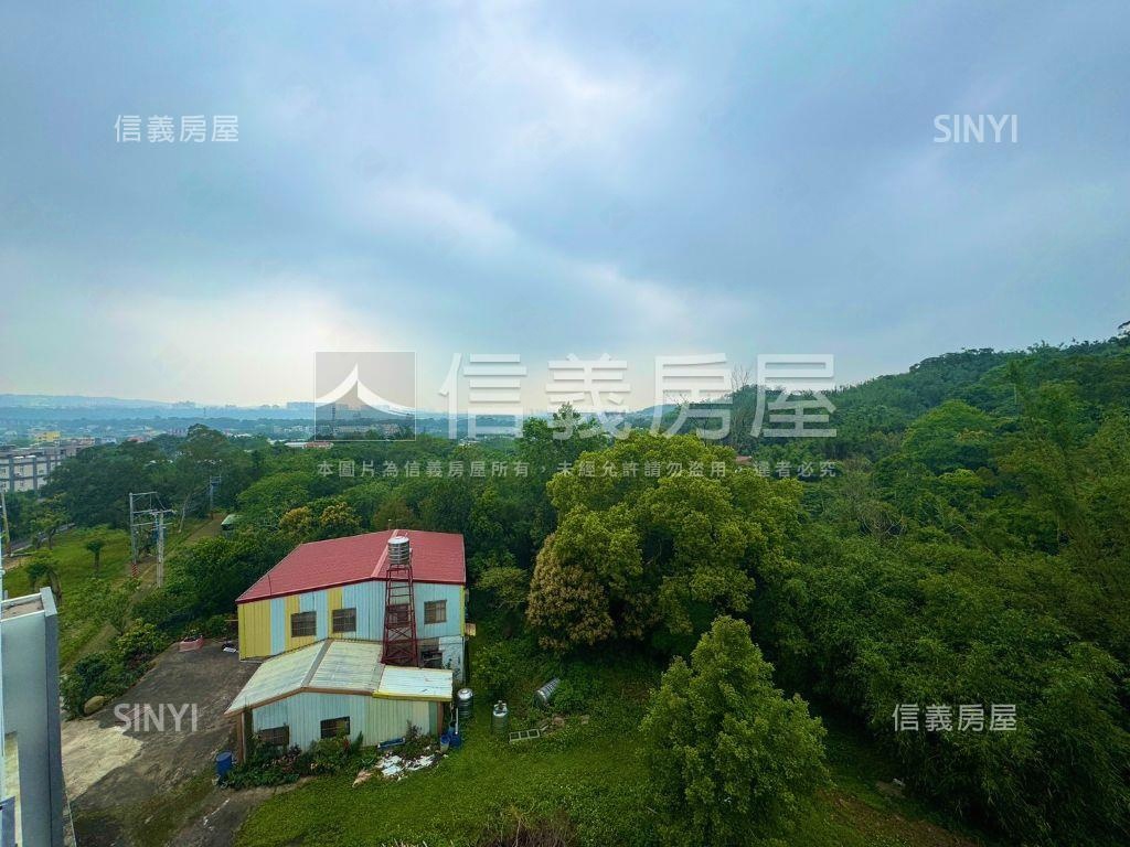 芎林美式獨棟電梯別墅房屋室內格局與周邊環境
