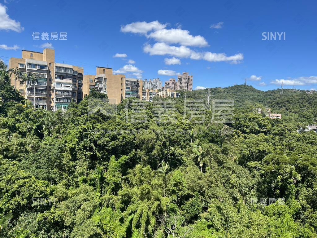 信義十八樹景景觀戶房屋室內格局與周邊環境