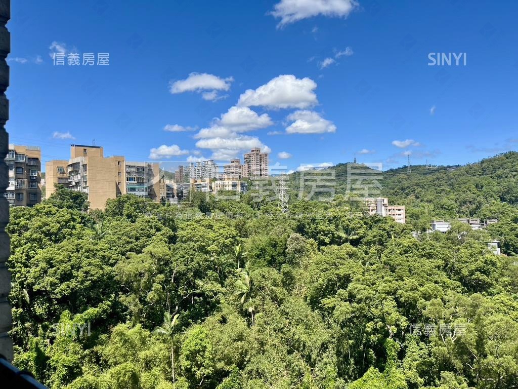 信義十八樹景景觀戶房屋室內格局與周邊環境