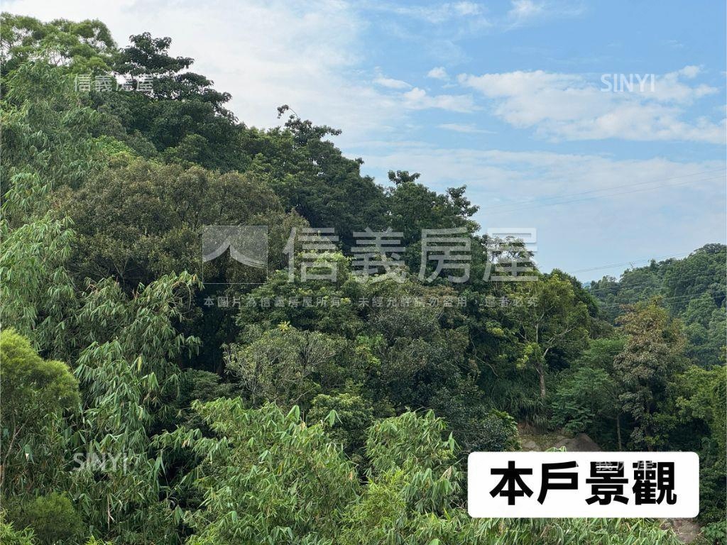獨家綠景電梯２房花園房屋室內格局與周邊環境