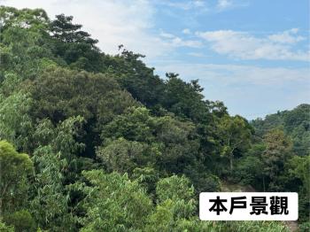 稀有綠景電梯２房花園