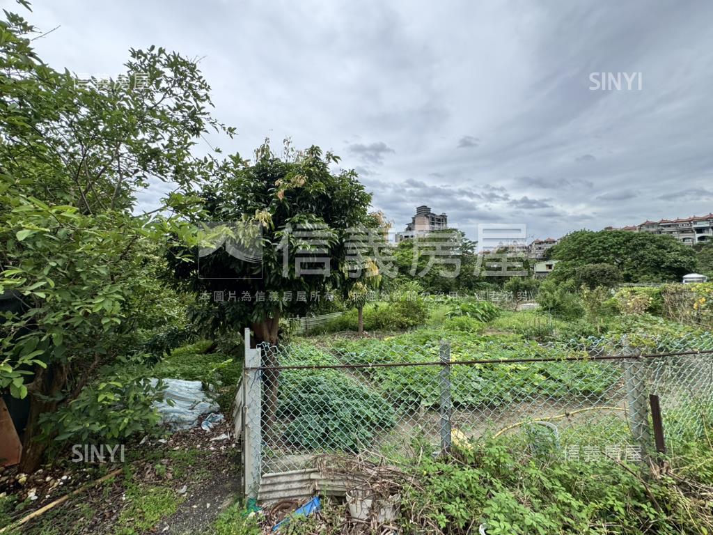 【內湖土地β】房屋室內格局與周邊環境