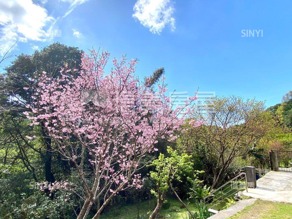 寂靜享受．極致美景房屋室內格局與周邊環境