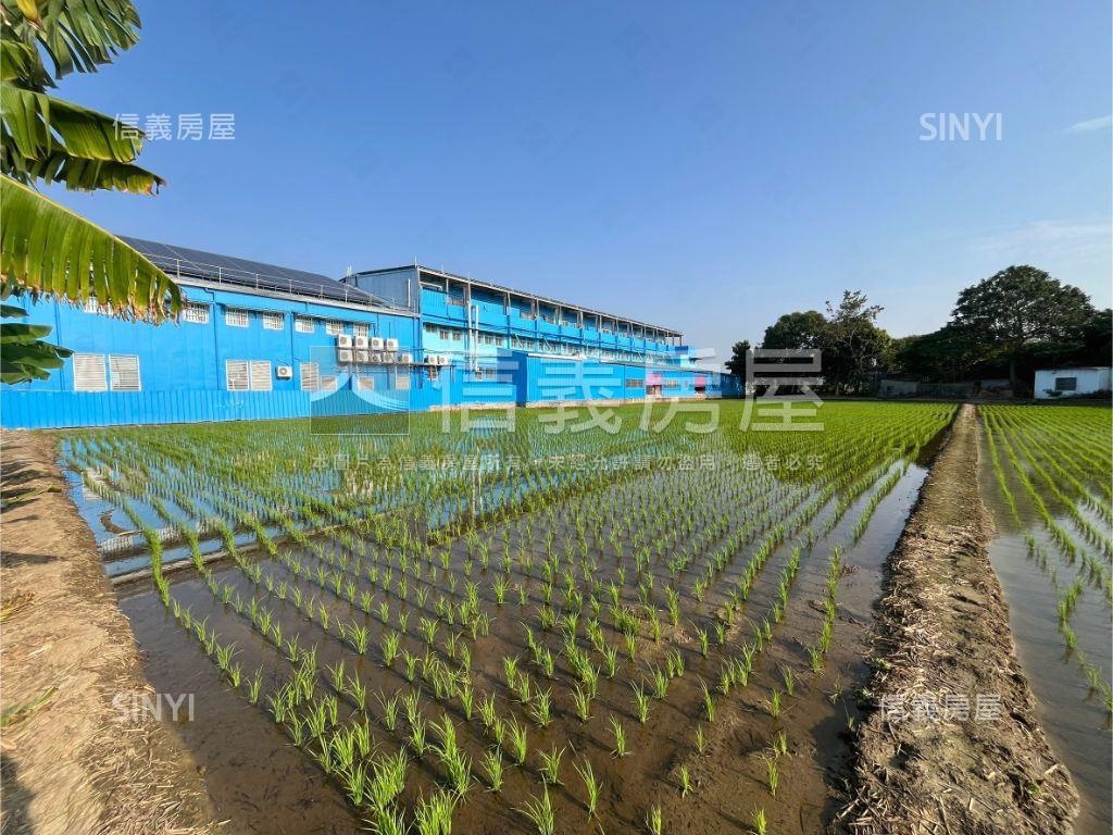 夏田產業園區●約千坪農地房屋室內格局與周邊環境