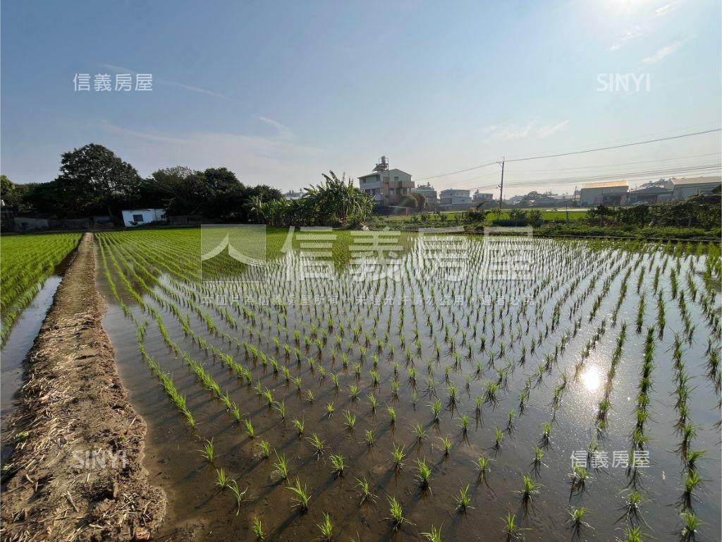 夏田產業園區●約千坪農地房屋室內格局與周邊環境