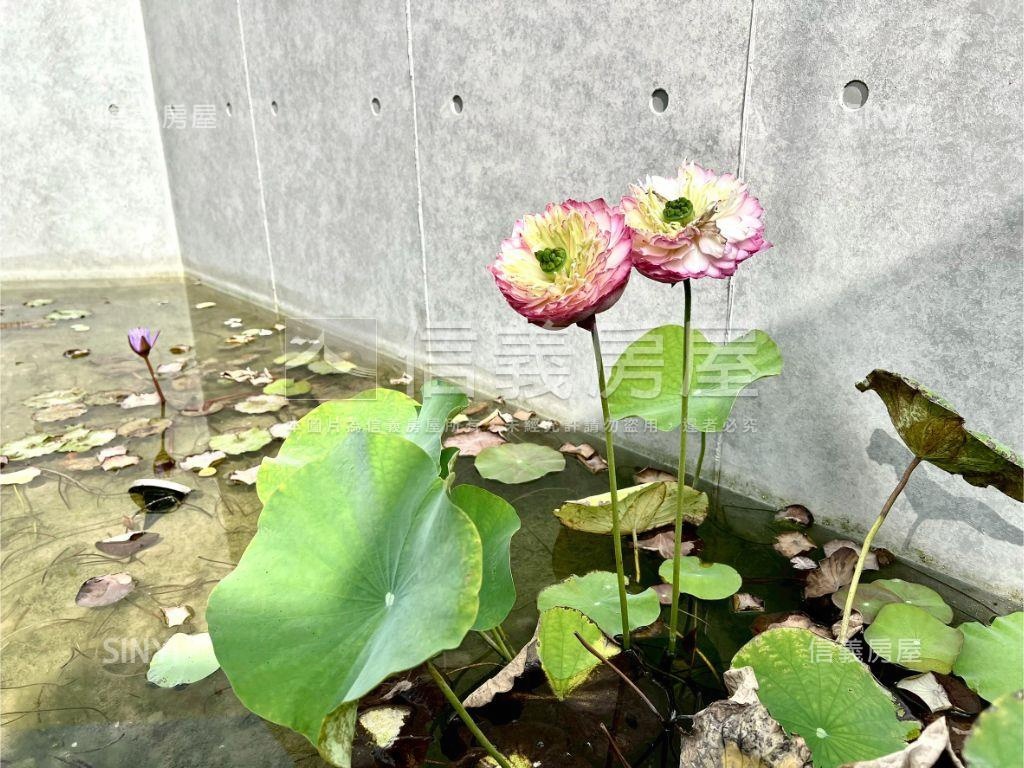 學東重劃大地坪豪邸房屋室內格局與周邊環境