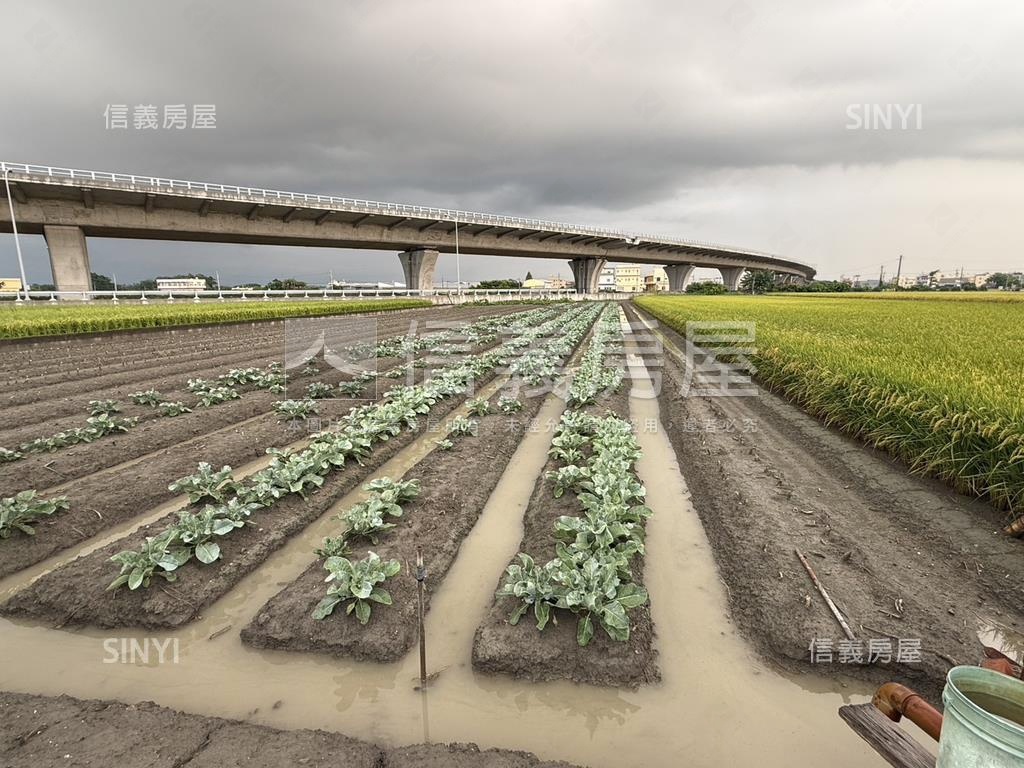 彰化開心農場房屋室內格局與周邊環境