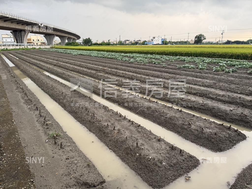 彰化開心農場房屋室內格局與周邊環境