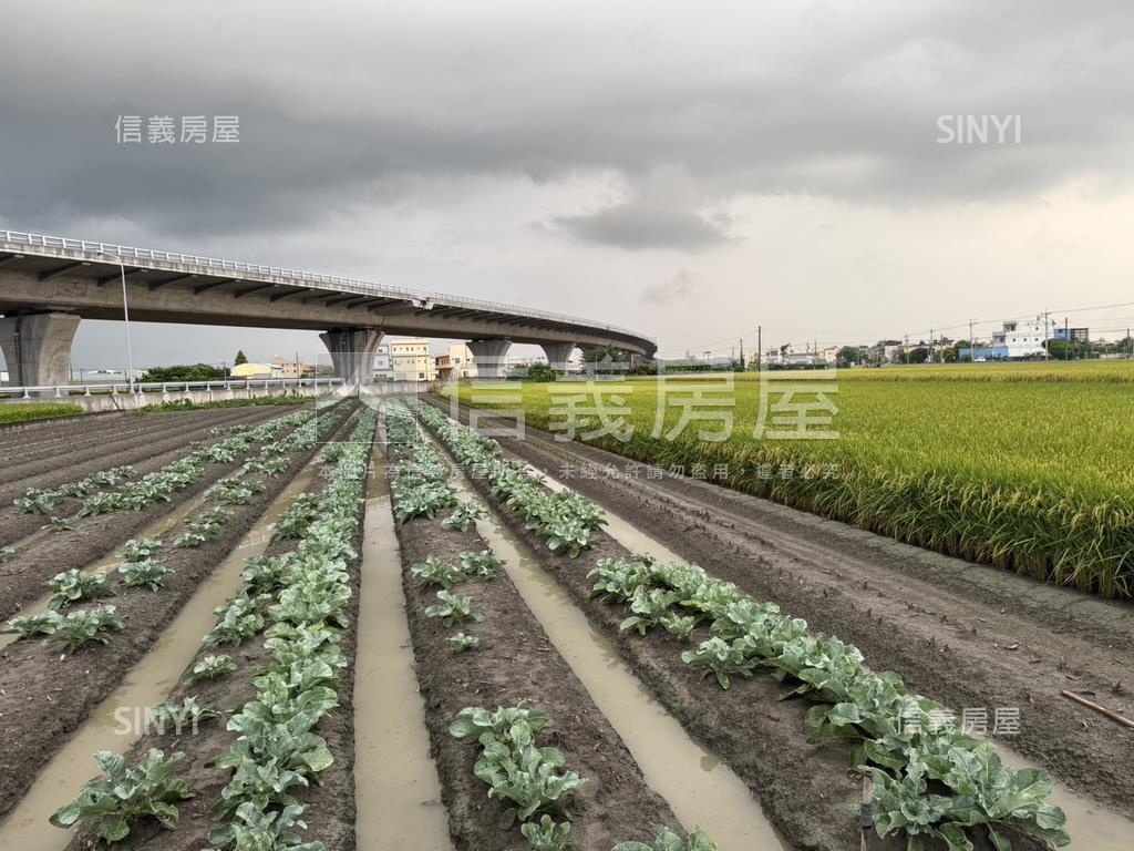彰化開心農場房屋室內格局與周邊環境
