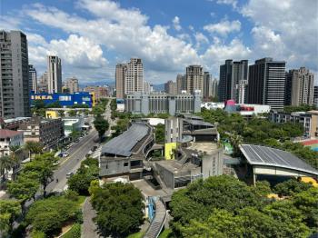 河南商圈四房車位面樹海