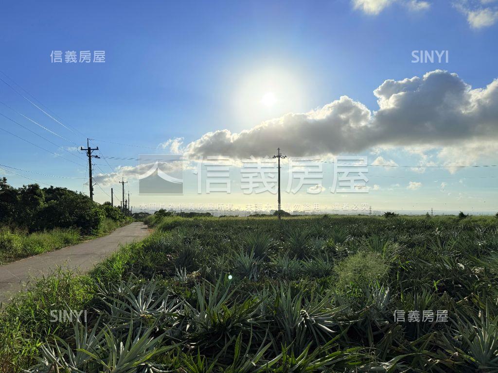 近清泉崗臨活路開心農場房屋室內格局與周邊環境