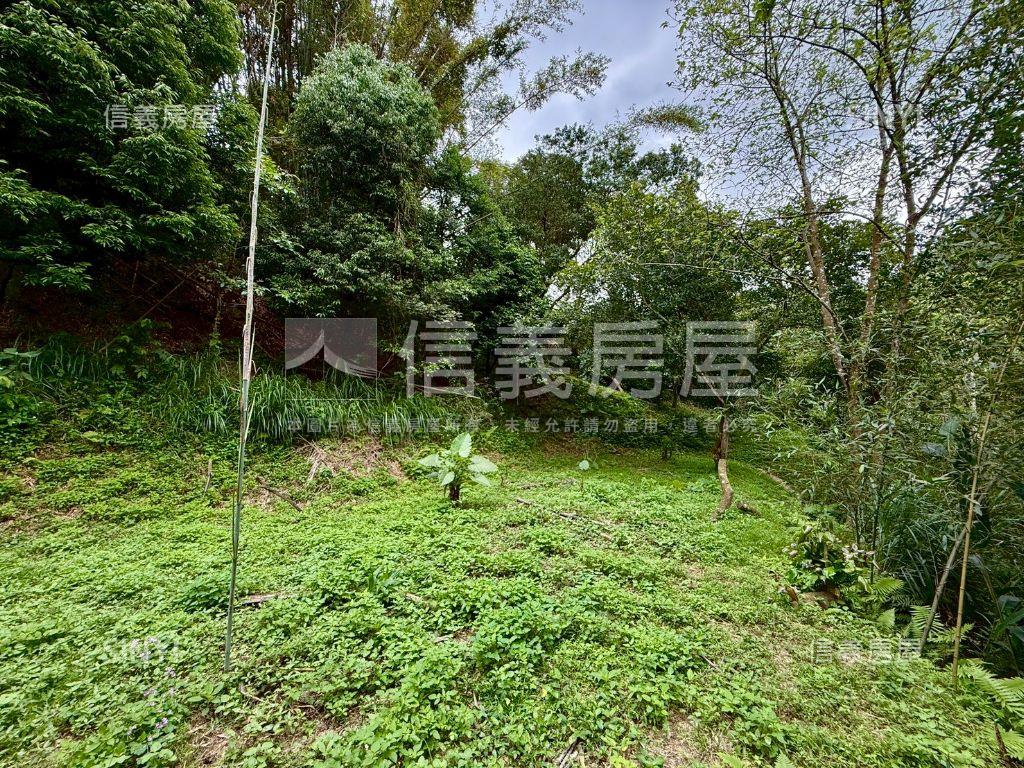 新埔暢園客舍休閒地房屋室內格局與周邊環境