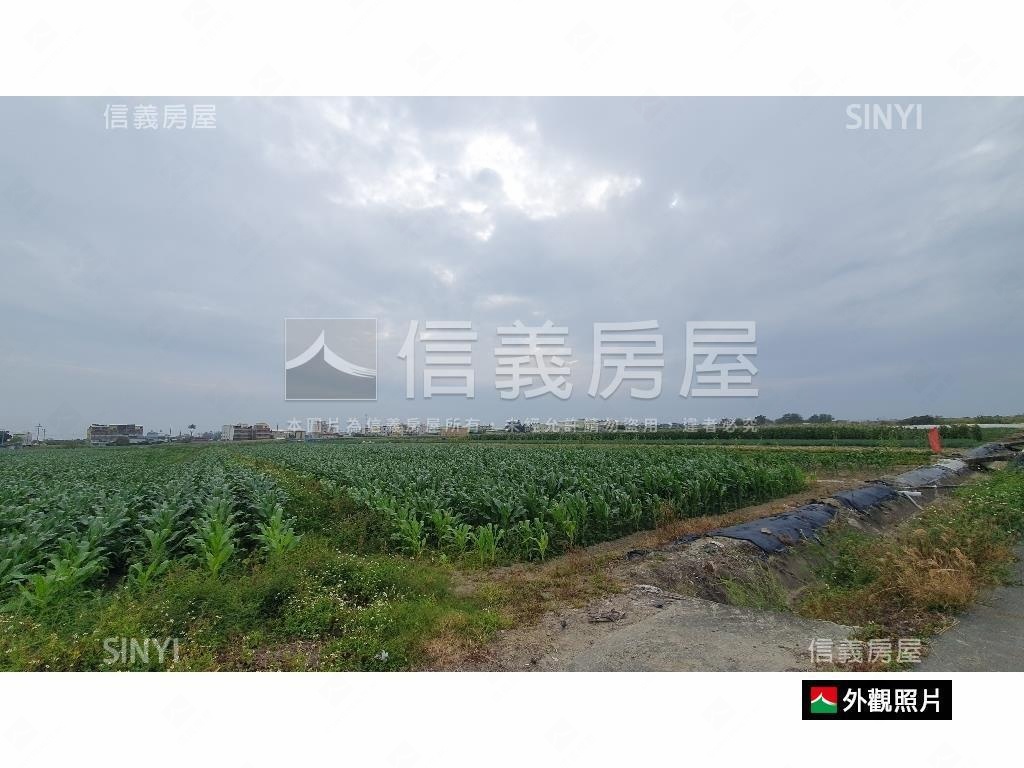 七股竹橋國中芳鄰土地房屋室內格局與周邊環境