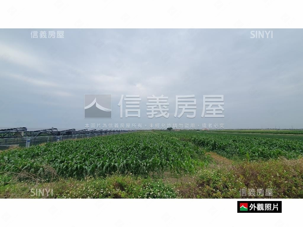七股竹橋國中芳鄰土地房屋室內格局與周邊環境