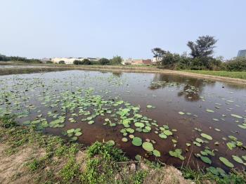置產首選觀音農地１