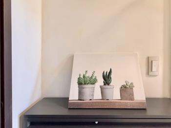 新悅城高樓兩房車位