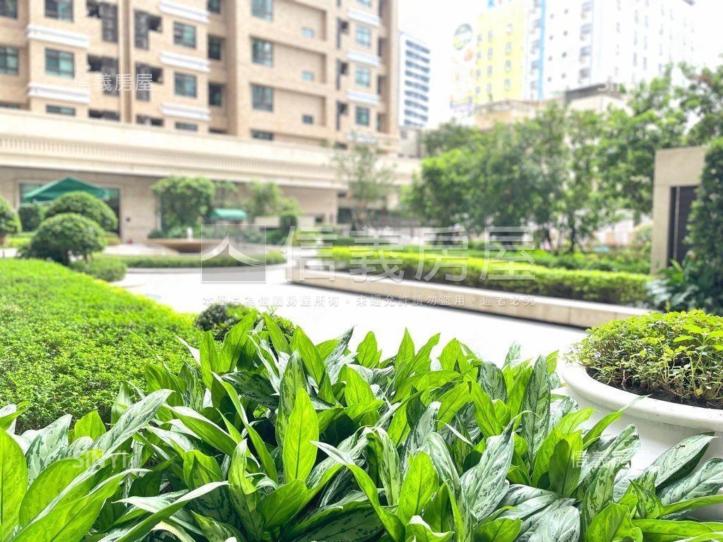 主推微笑之心稀有邊間２房房屋室內格局與周邊環境