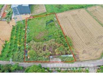 觀音大堀段臨路土地