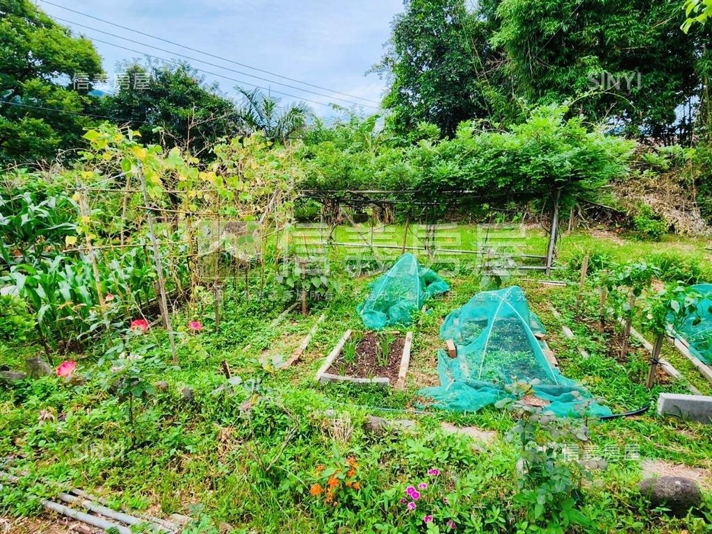 紫藤花園旁漂亮農地房屋室內格局與周邊環境