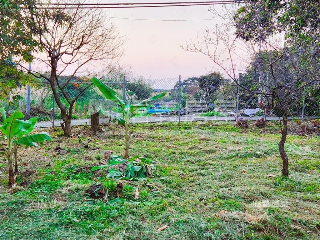紫藤花園旁漂亮農地房屋室內格局與周邊環境