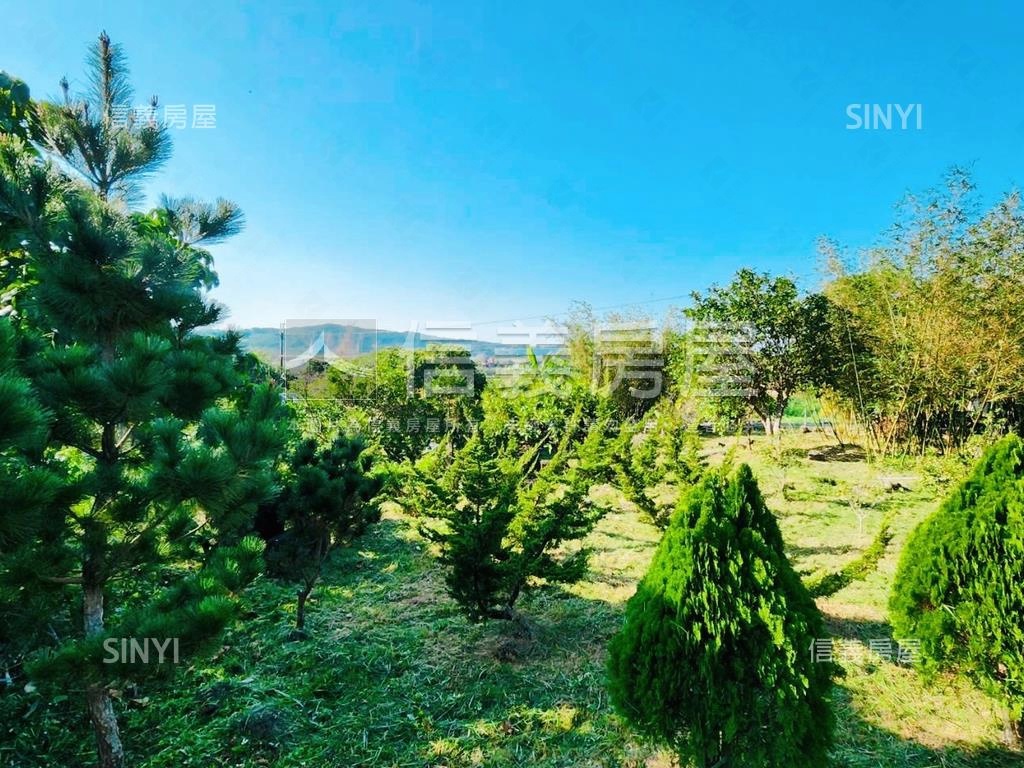 紫藤花園旁漂亮農地房屋室內格局與周邊環境