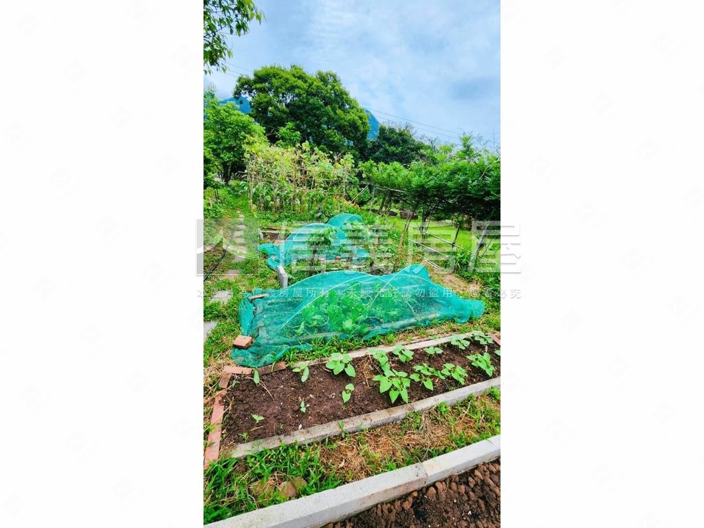 紫藤花園旁漂亮農地房屋室內格局與周邊環境