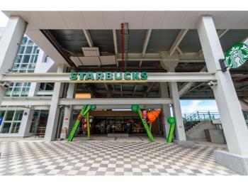 湯泉紅樹林高樓精緻裝潢