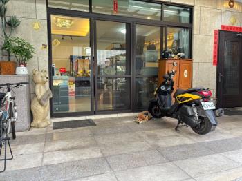 ★沙鹿氣派臨路電梯別墅★