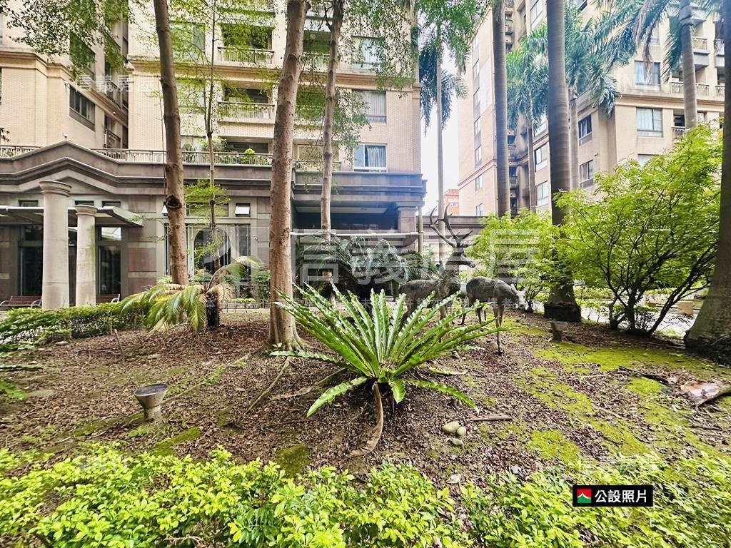 星河。河景大四房稀有釋出房屋室內格局與周邊環境