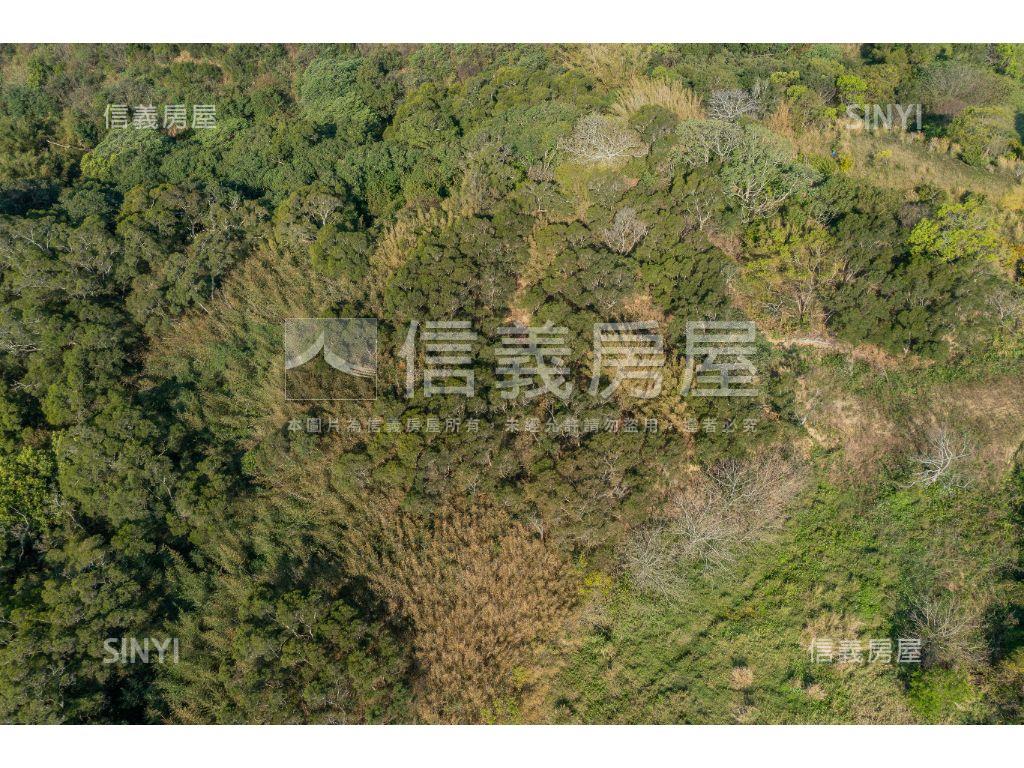 近青青草原土地３房屋室內格局與周邊環境