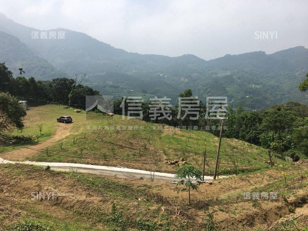 中寮好山好水種梅園房屋室內格局與周邊環境
