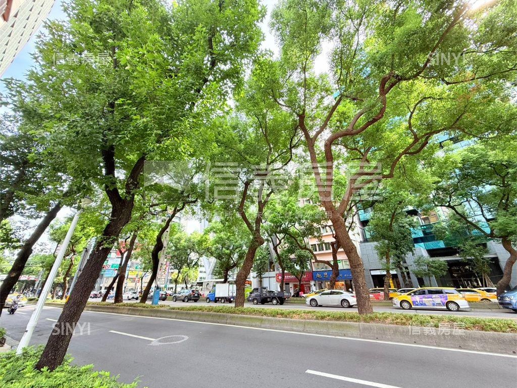 正中山北林蔭藏玉尊爵大戶房屋室內格局與周邊環境