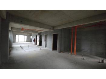 林口稀有自地自建獨戶豪邸