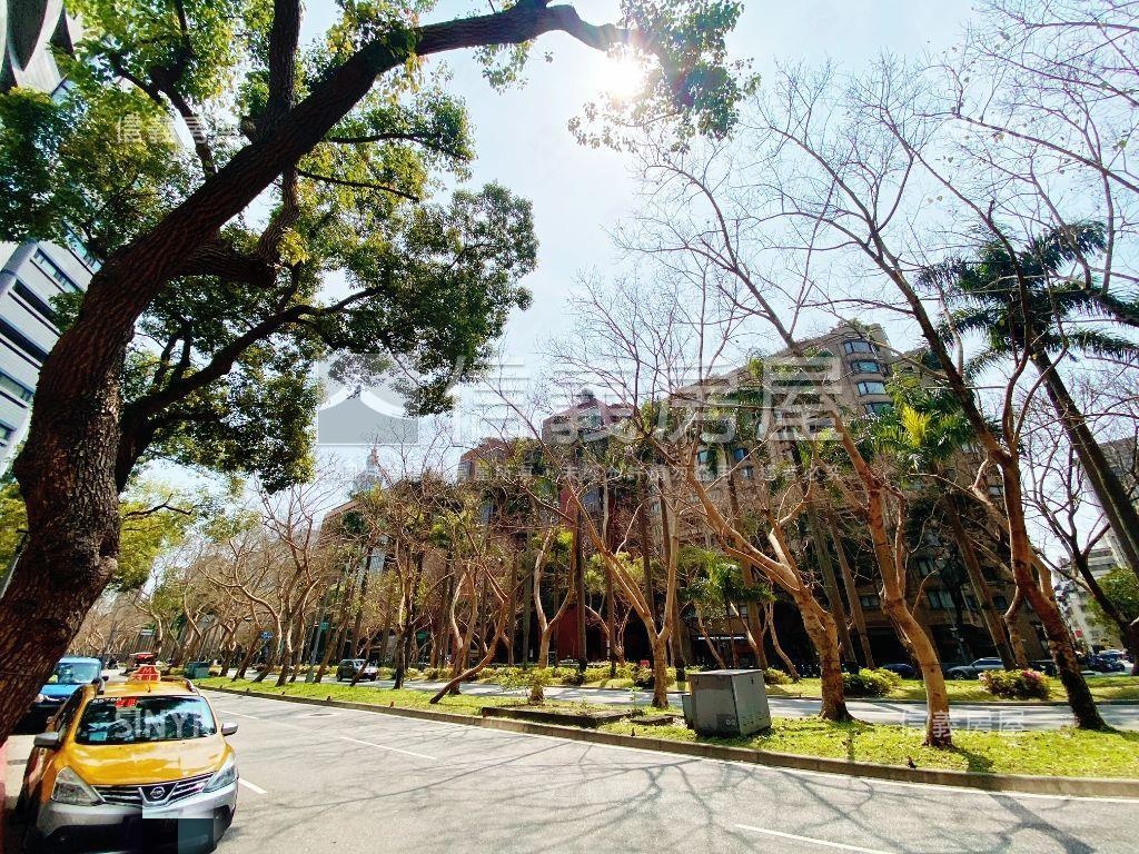 三面採光稀有華廈房屋室內格局與周邊環境
