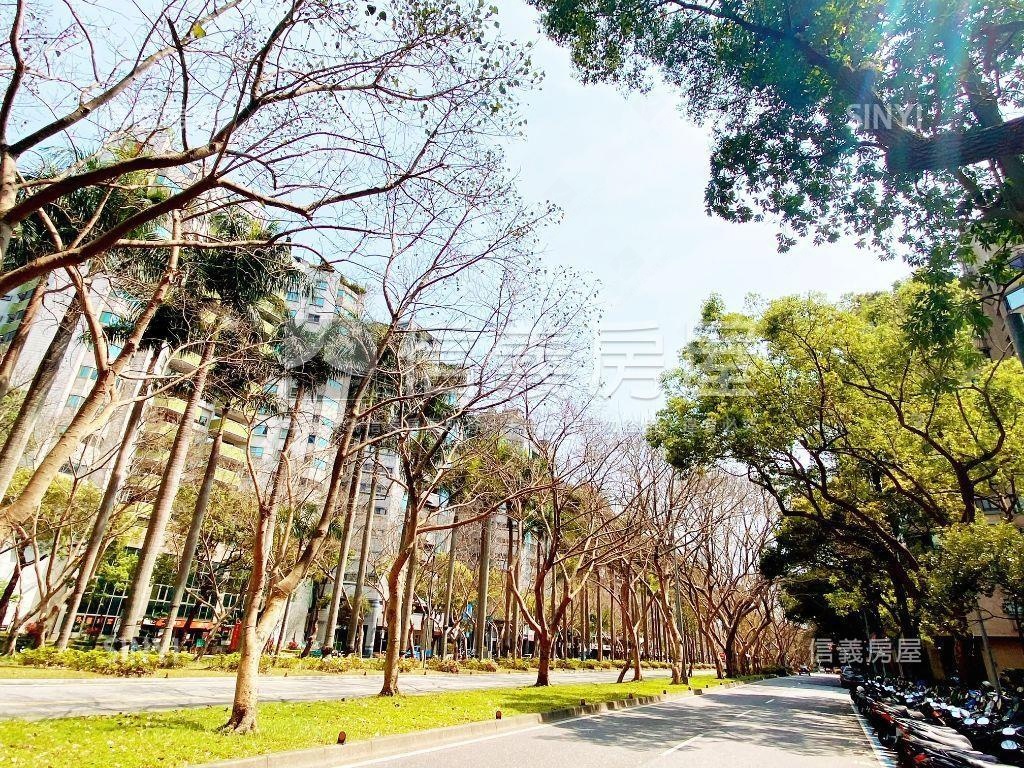三面採光稀有華廈房屋室內格局與周邊環境