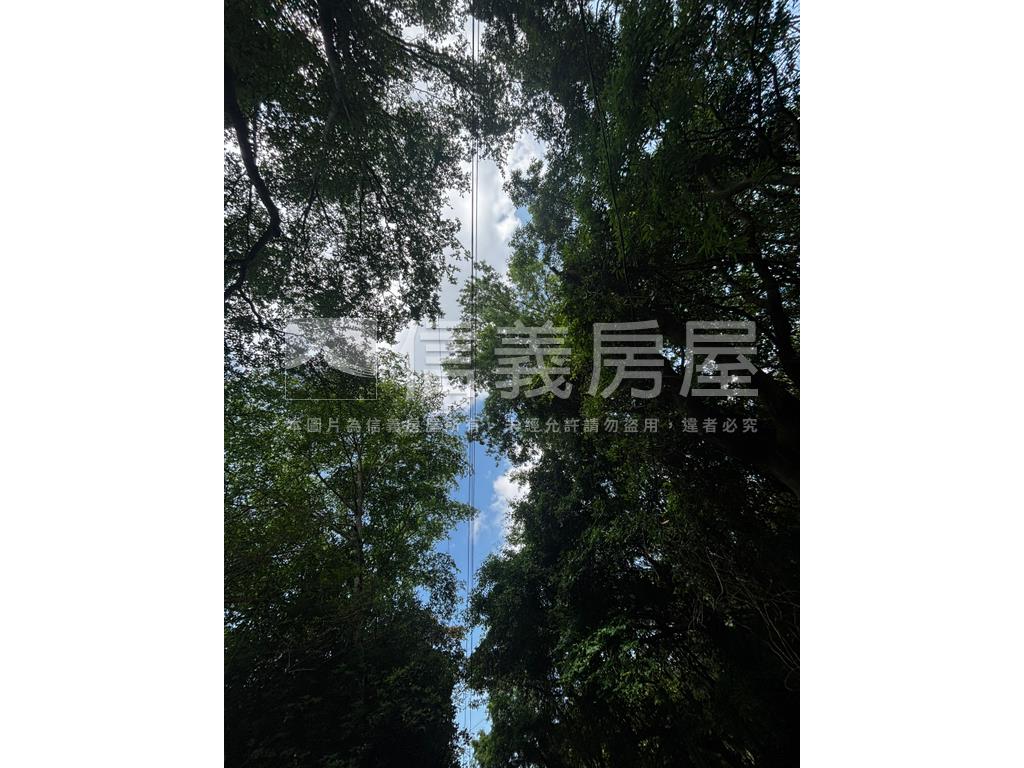 陽明山遼闊土地稀有釋出房屋室內格局與周邊環境