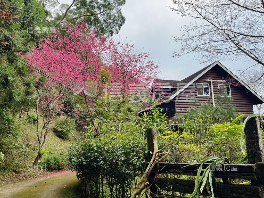 南庄土地附小木屋房屋室內格局與周邊環境