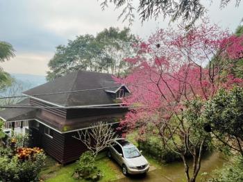 南庄土地附小木屋