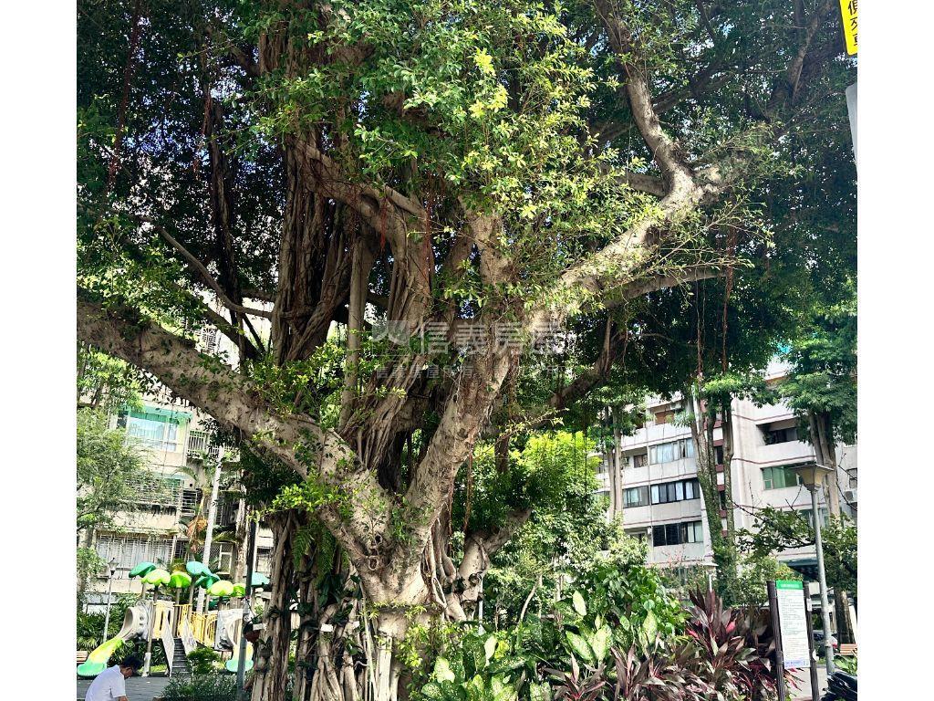 附中仁設籍高樓新成屋房屋室內格局與周邊環境
