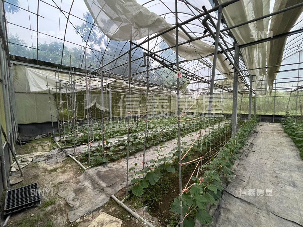 南投竹山溫室果園之一房屋室內格局與周邊環境