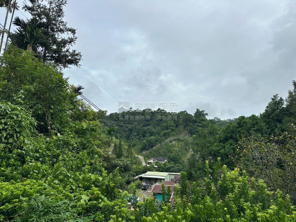 中坑置產林地房屋室內格局與周邊環境