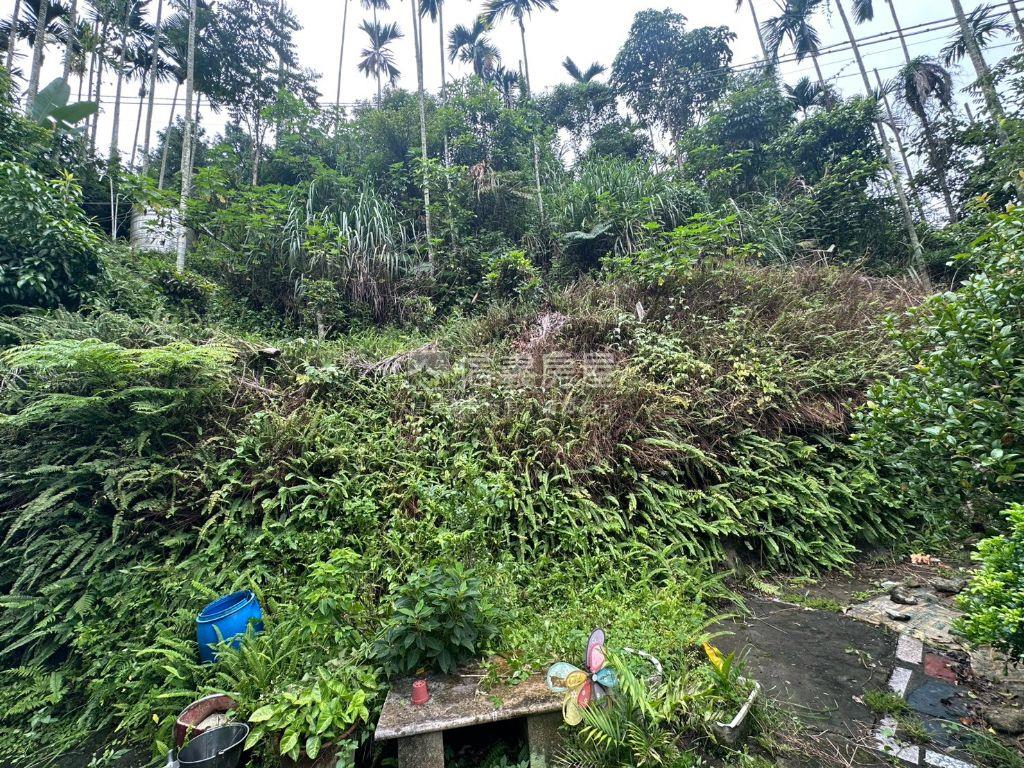 中坑置產林地房屋室內格局與周邊環境