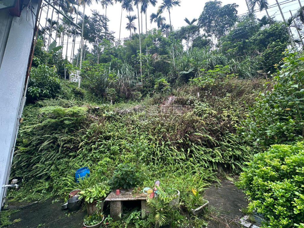 中坑置產林地房屋室內格局與周邊環境