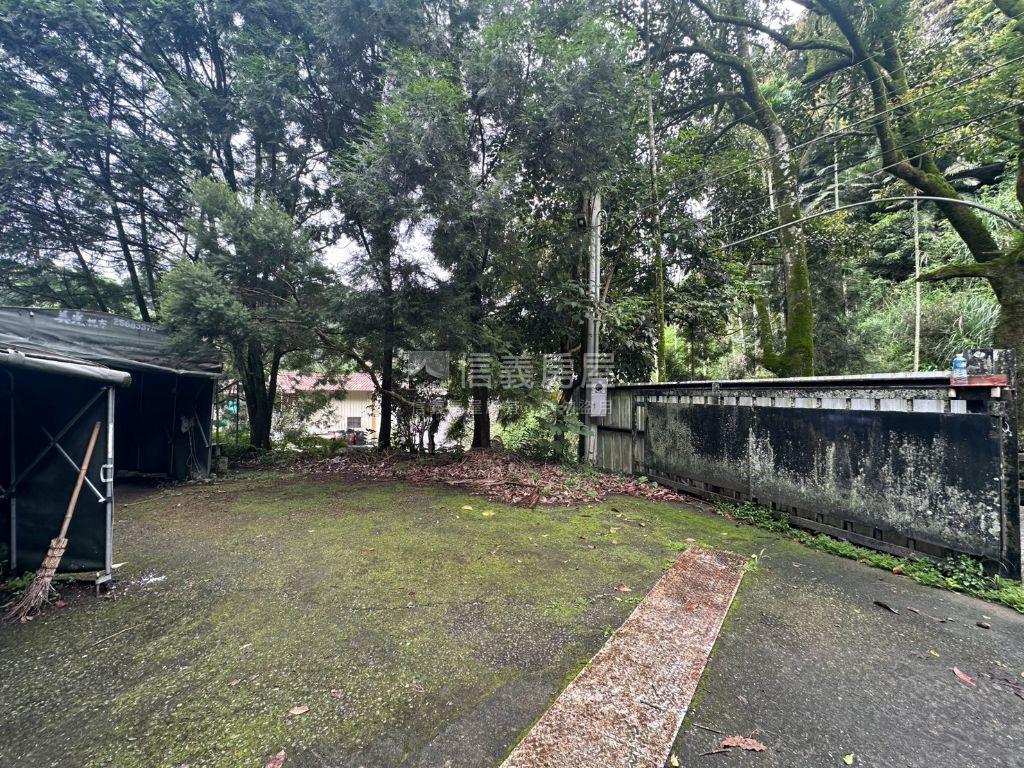 中坑置產林地房屋室內格局與周邊環境