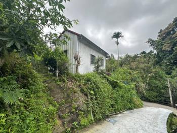 中坑置產林地