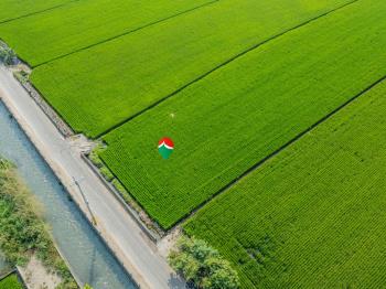 彰南路有機農地